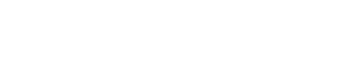 Vanguard Logo White